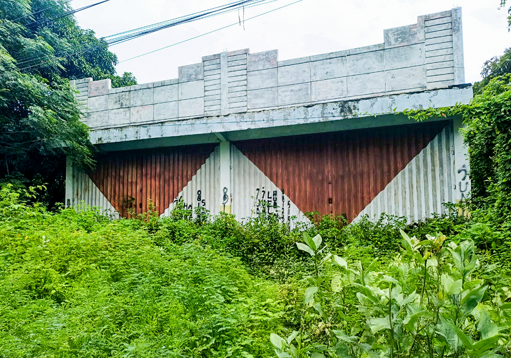 RUMAH DI KAB. SITUBONDO - WOFF572-1 - foto 3